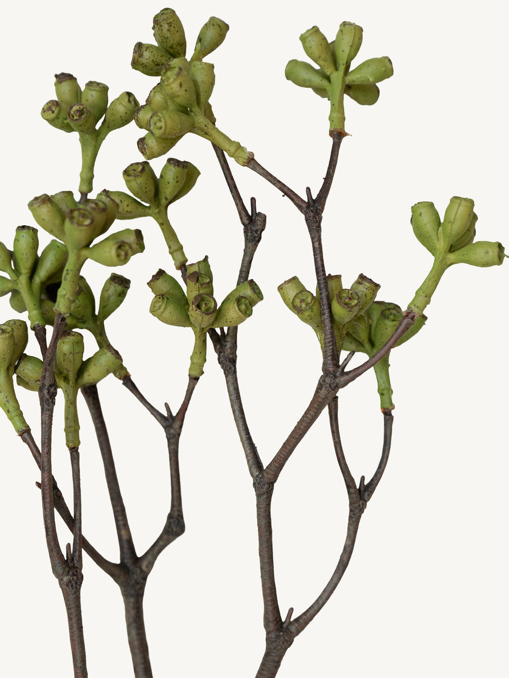 Branch BELL FRUIT 65cm green