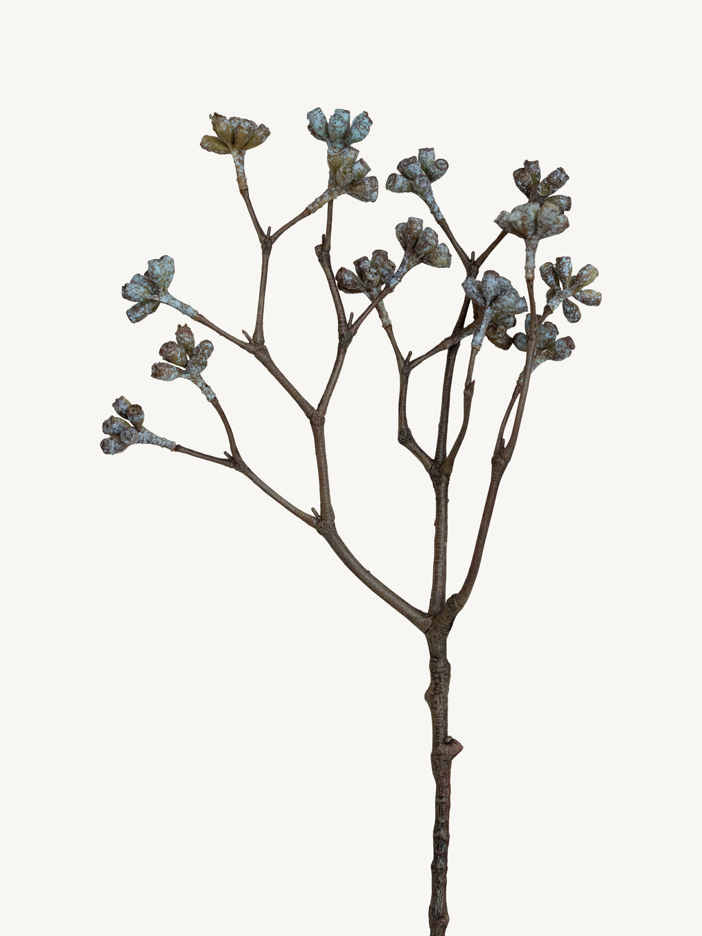 Branch BELL FRUIT 65cm white