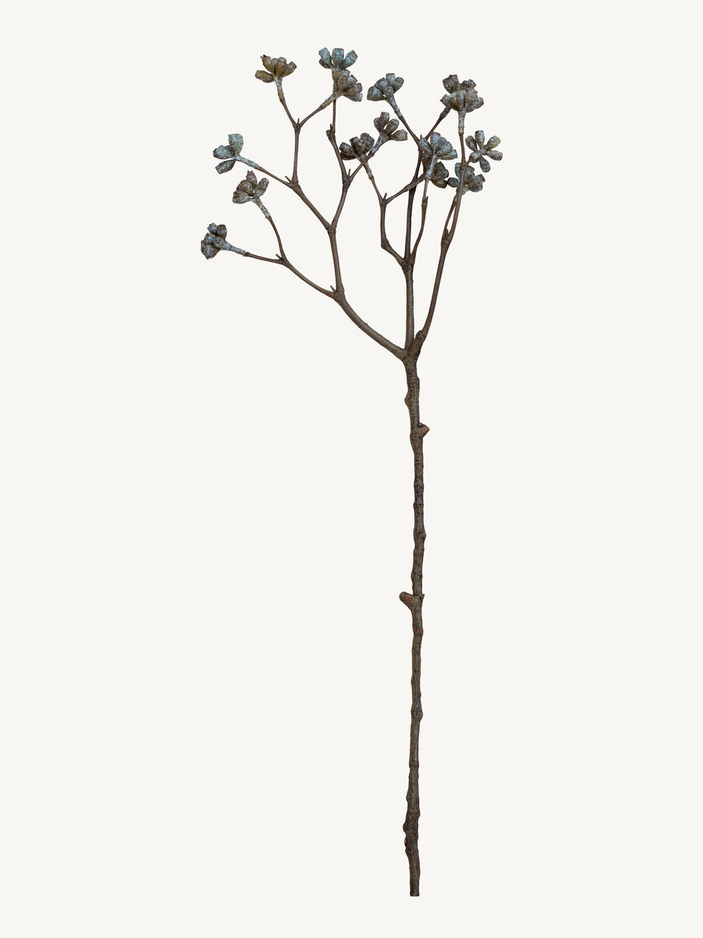 Branch BELL FRUIT 65cm white