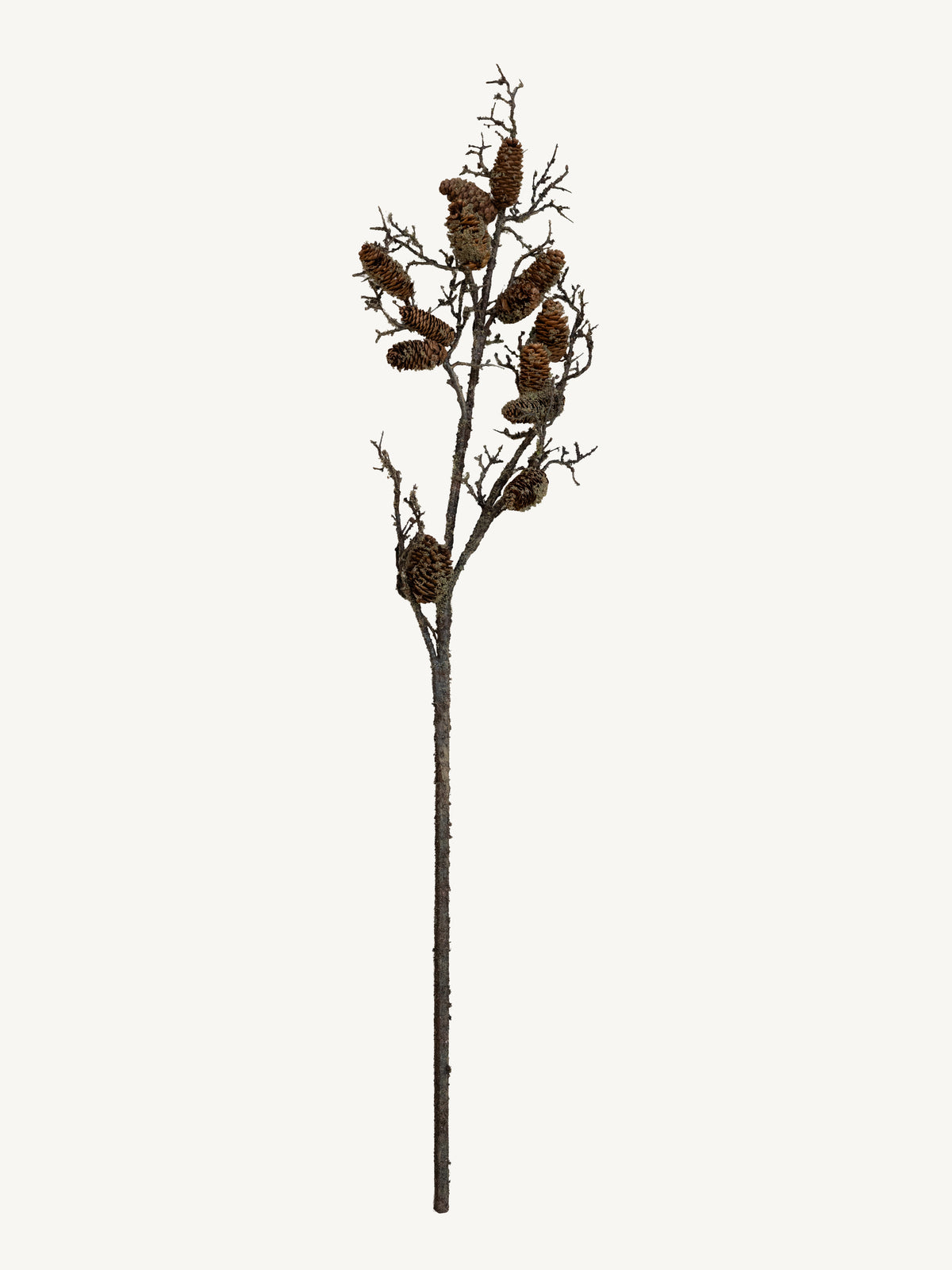 Branch PINECONE 126cm brown