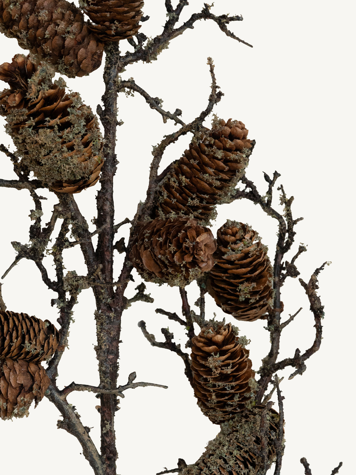 Branch PINECONE 126cm brown