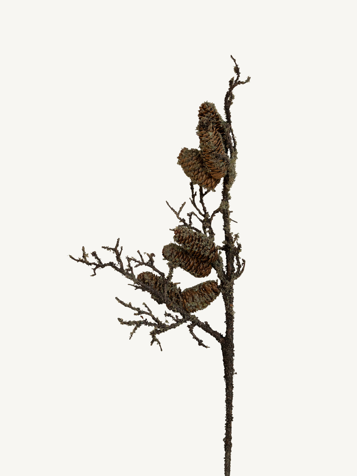 Branch PINECONE 72cm brown