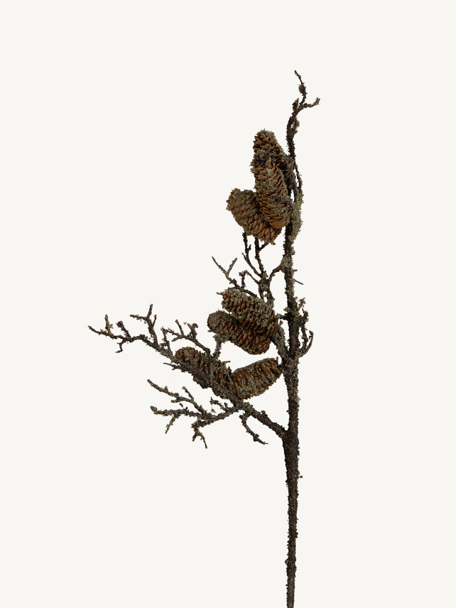 Branch PINECONE 72cm brown