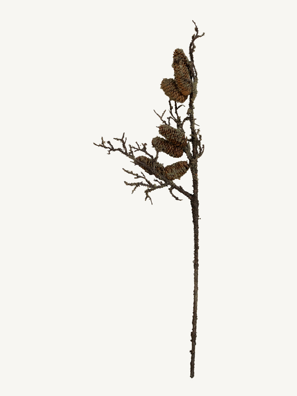 Branch PINECONE 72cm brown