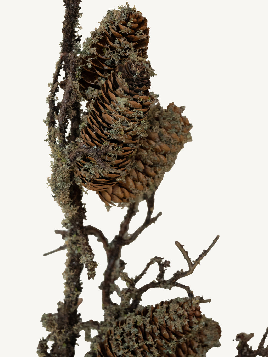 Branch PINECONE 72cm brown