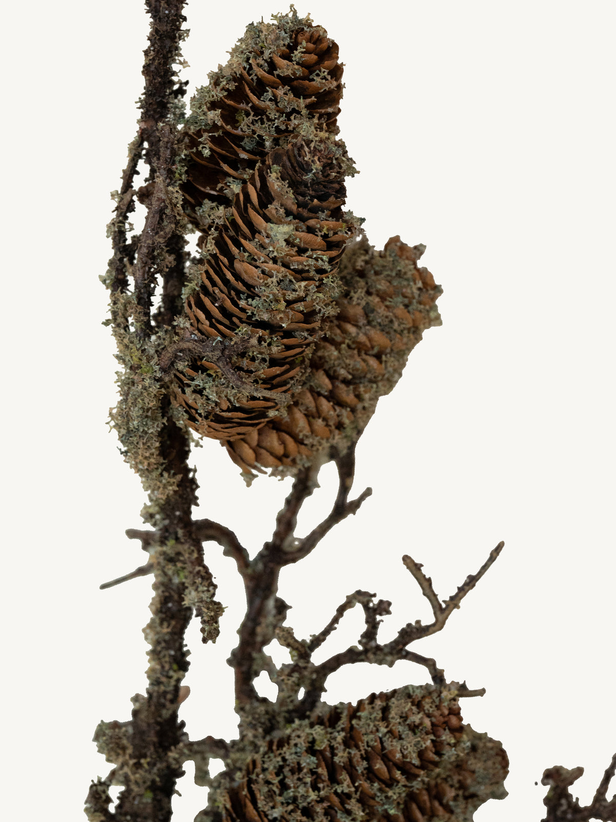 Branch PINECONE 72cm brown