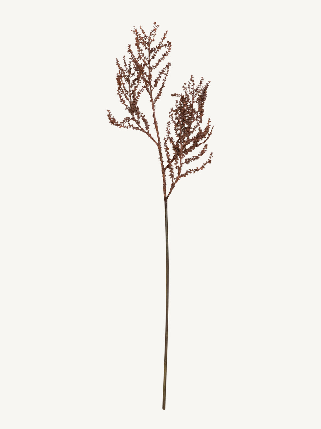 Branch JEQUIRITY 86cm brown