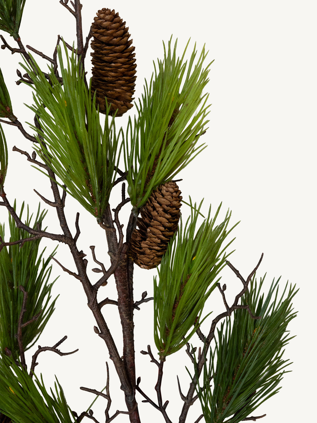 Branch PINE 115cm green
