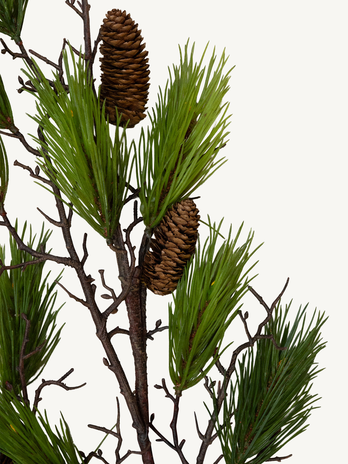 Branch PINE 115cm green