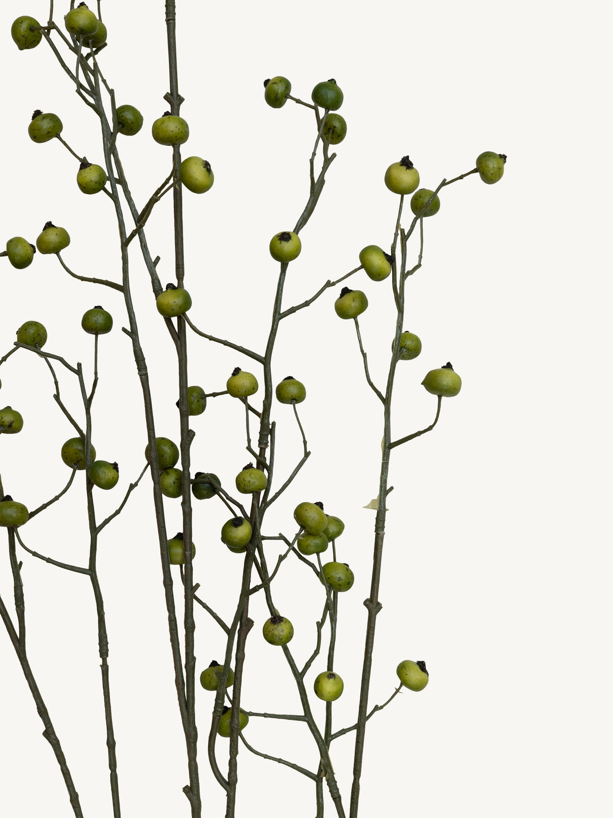 Branch ROSE HIP 134cm green