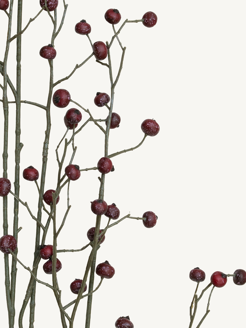 Branch ROSE HIP 134cm red