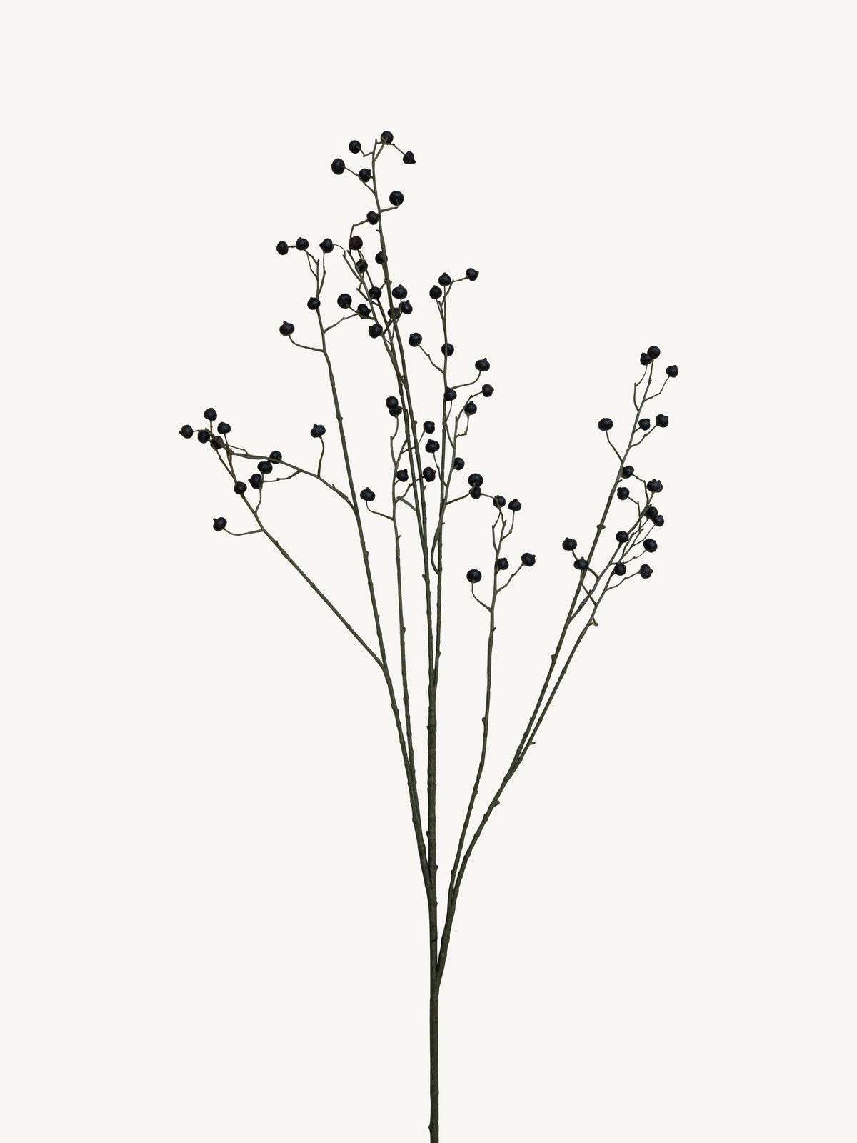 Branch ROSE HIP 134cm black