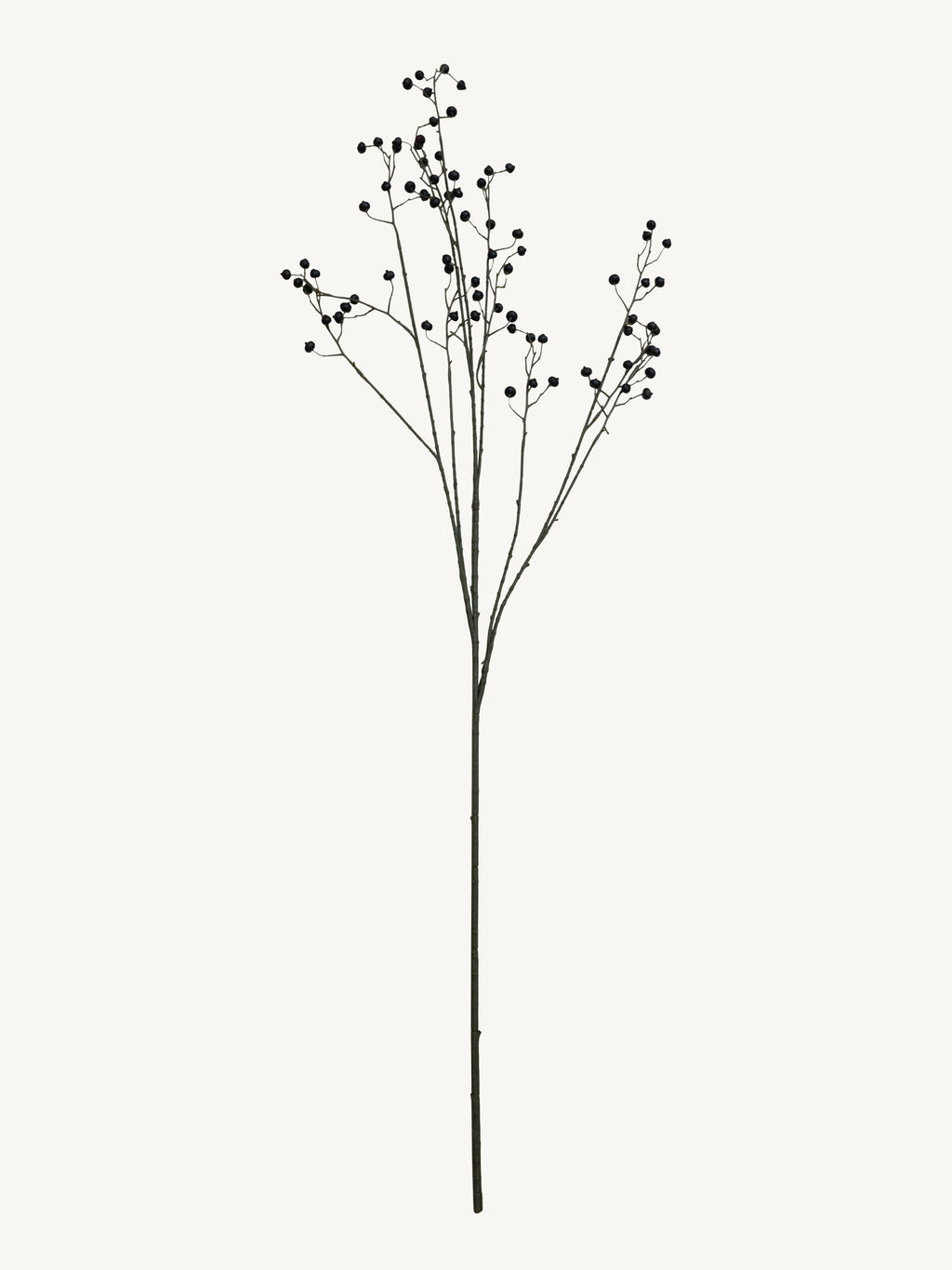 Branch ROSE HIP 134cm black