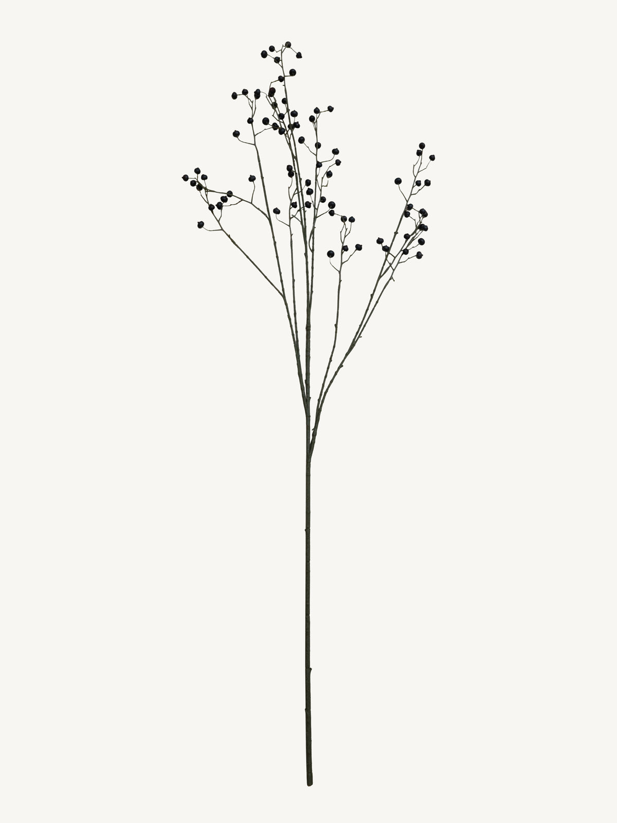 Branch ROSE HIP 134cm black