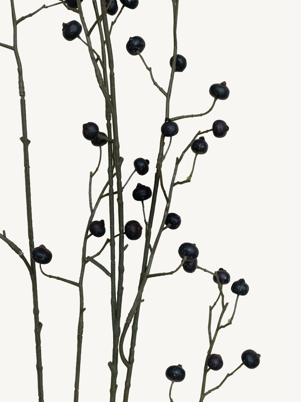 Branch ROSE HIP 134cm black