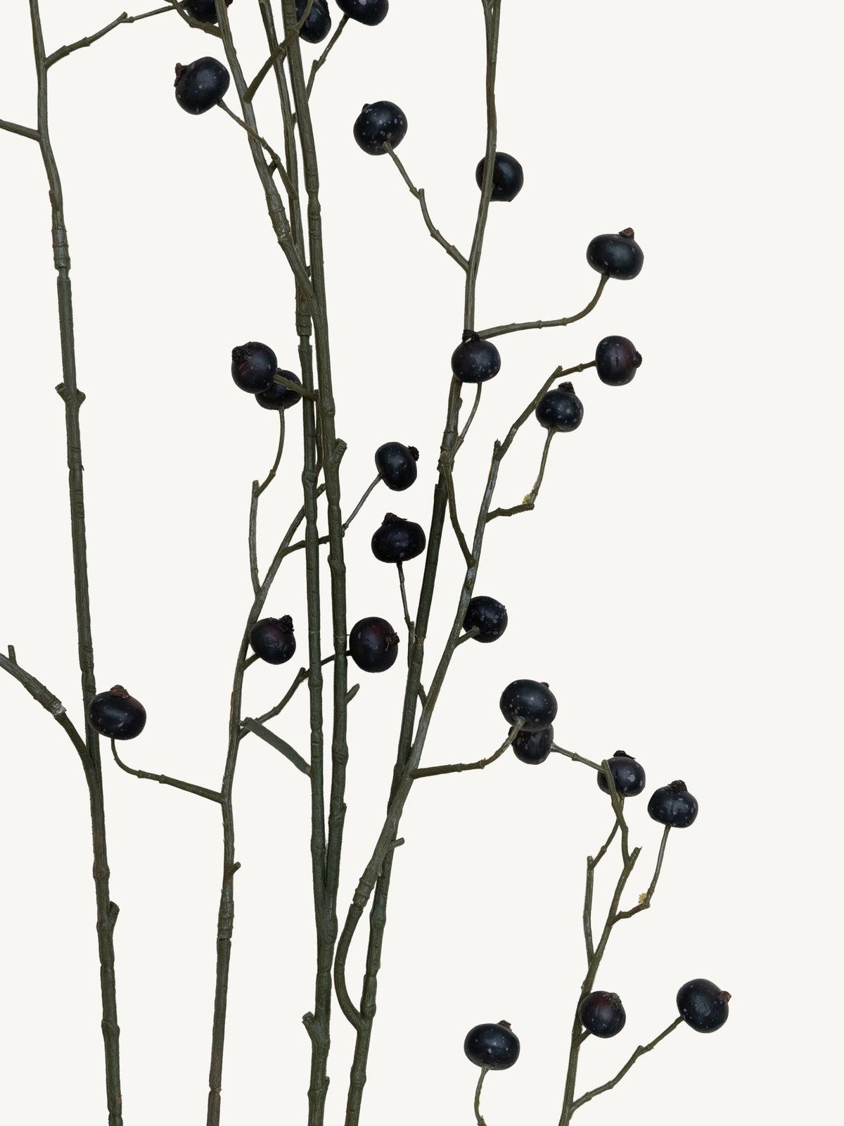Branch ROSE HIP 134cm black