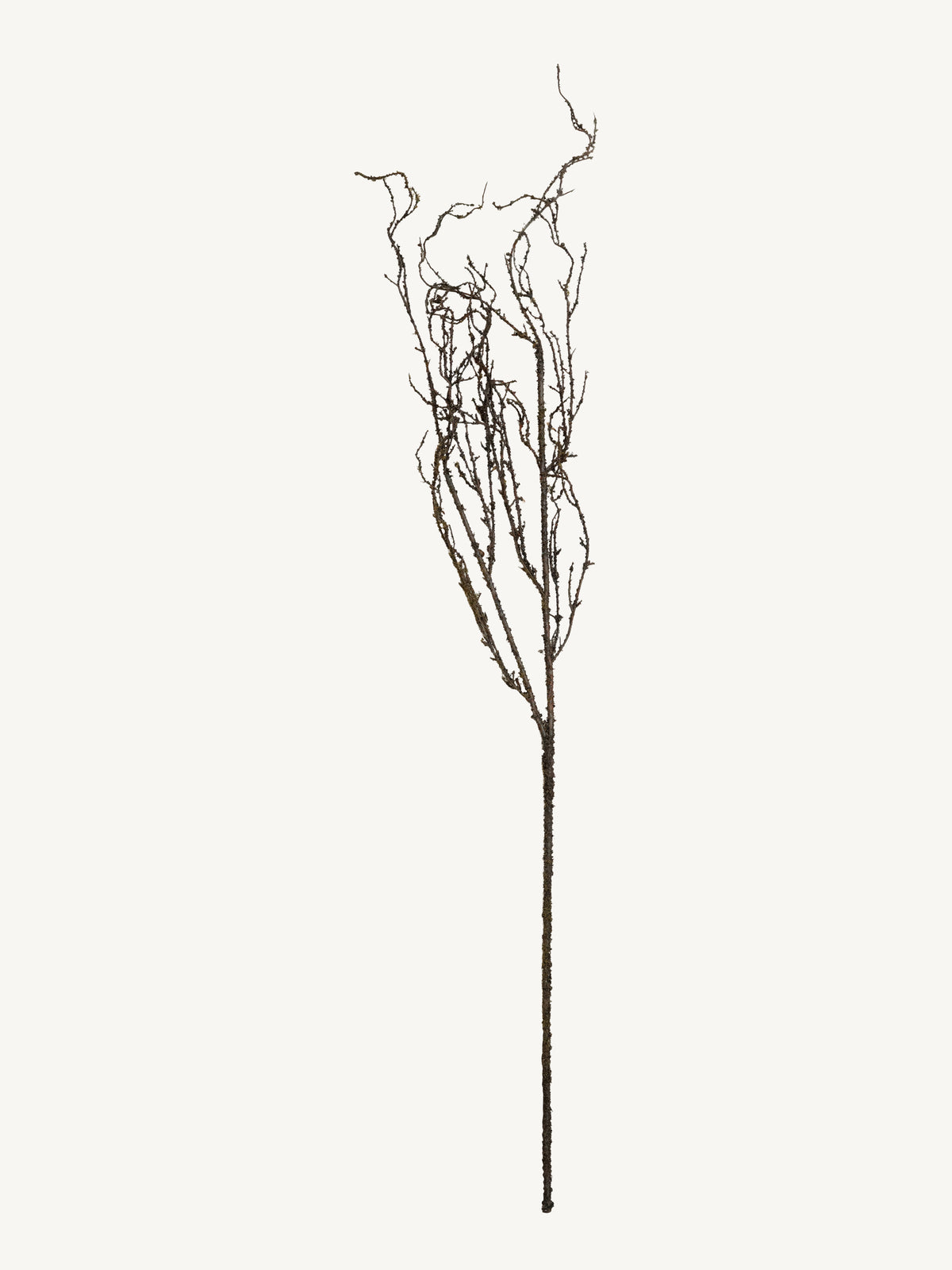 Branch MOSS TWIG 138cm green