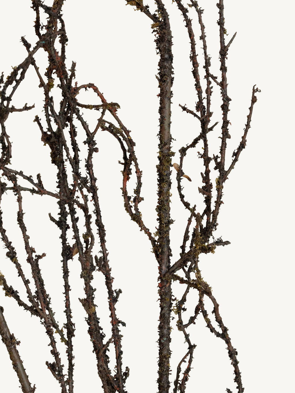 Branch MOSS TWIG 138cm green
