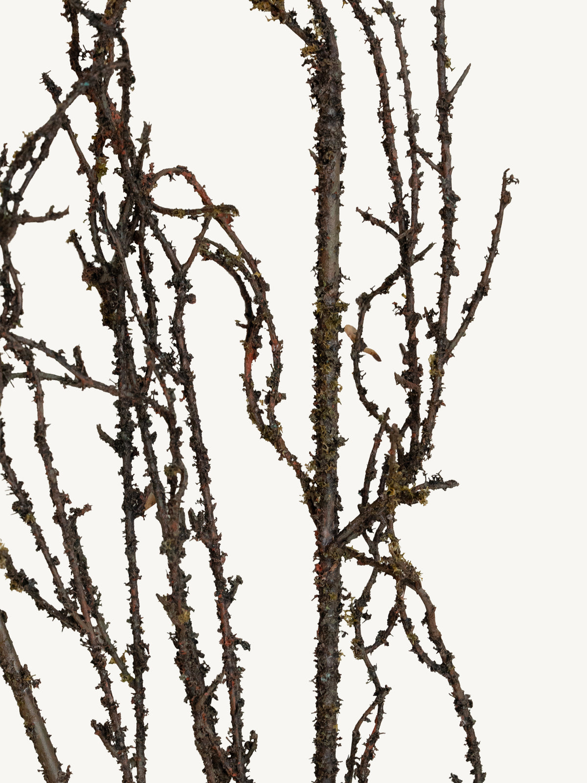 Branch MOSS TWIG 138cm green