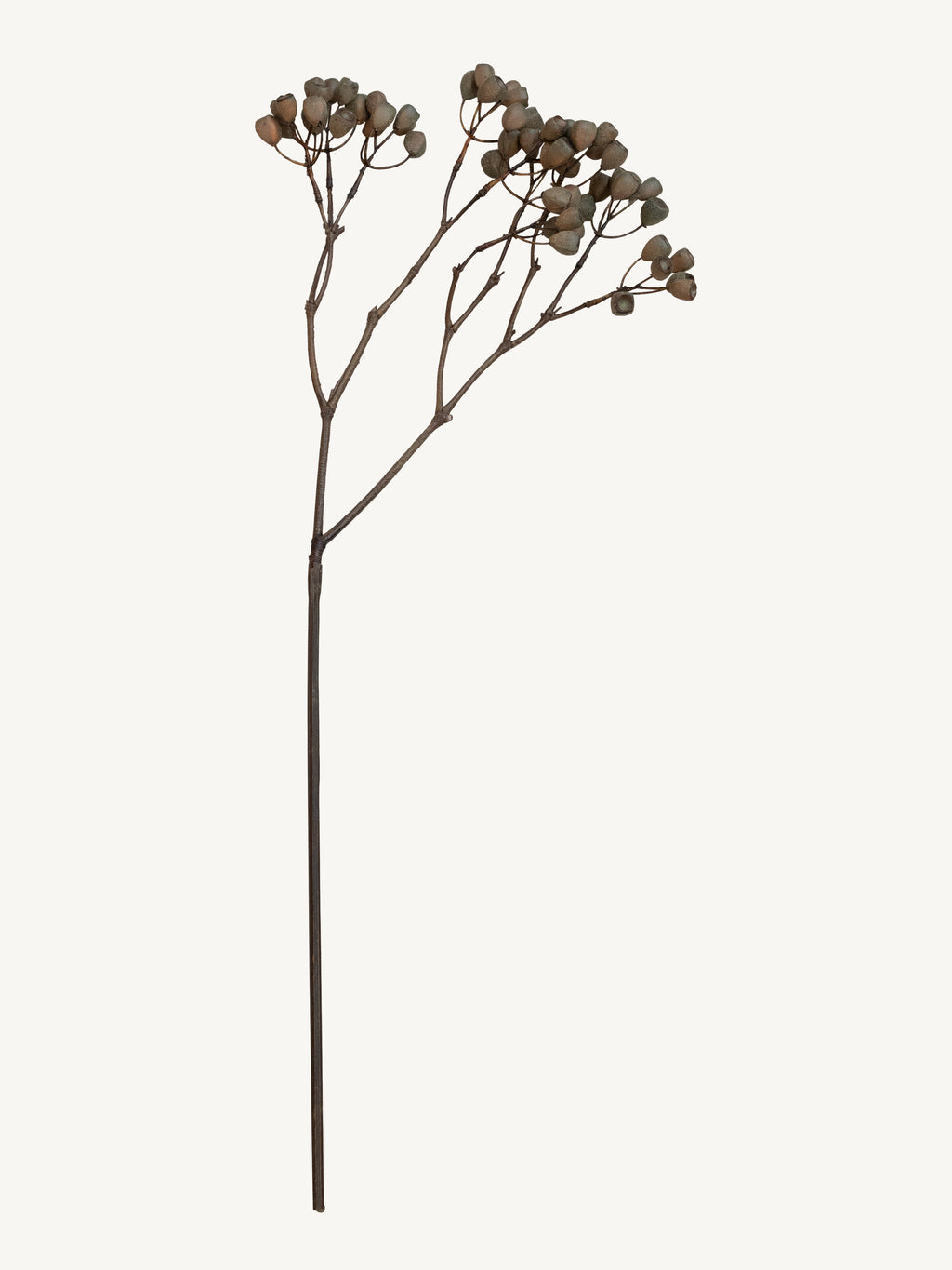 Branch SIFANG 83cm brown