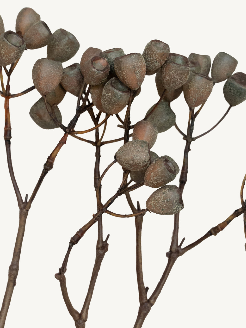 Branch SIFANG 83cm brown