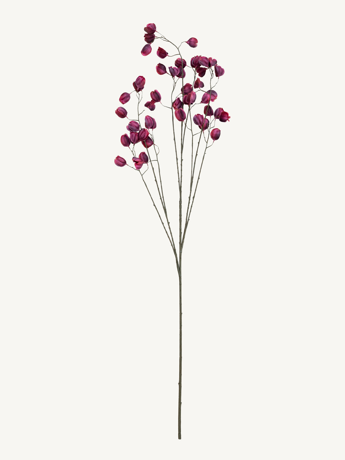 Branch KOELREUTERIA 140cm purple