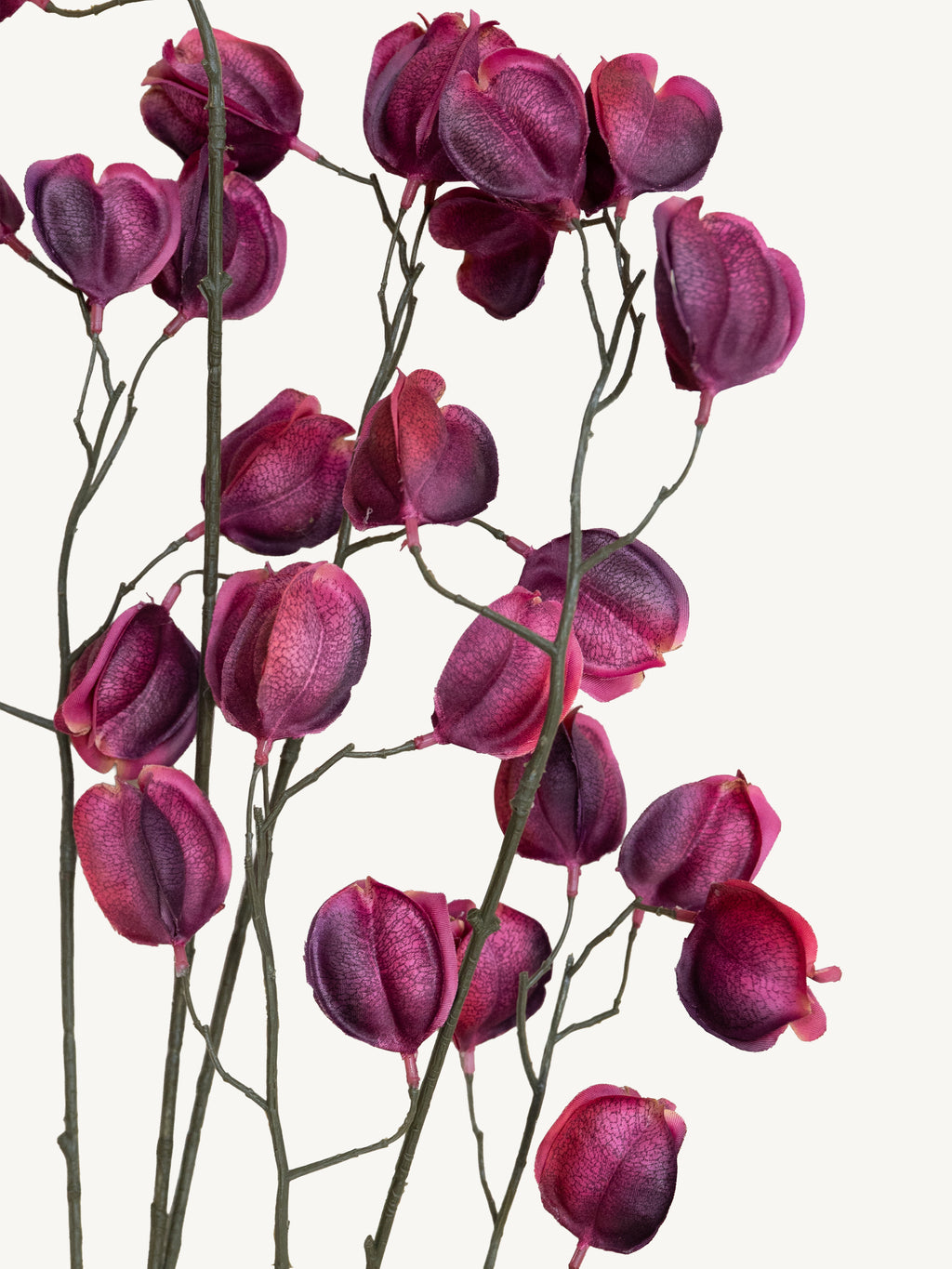 Branch KOELREUTERIA 140cm purple
