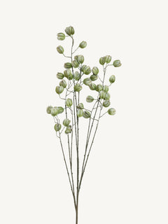 Branch KOELREUTERIA 140cm green