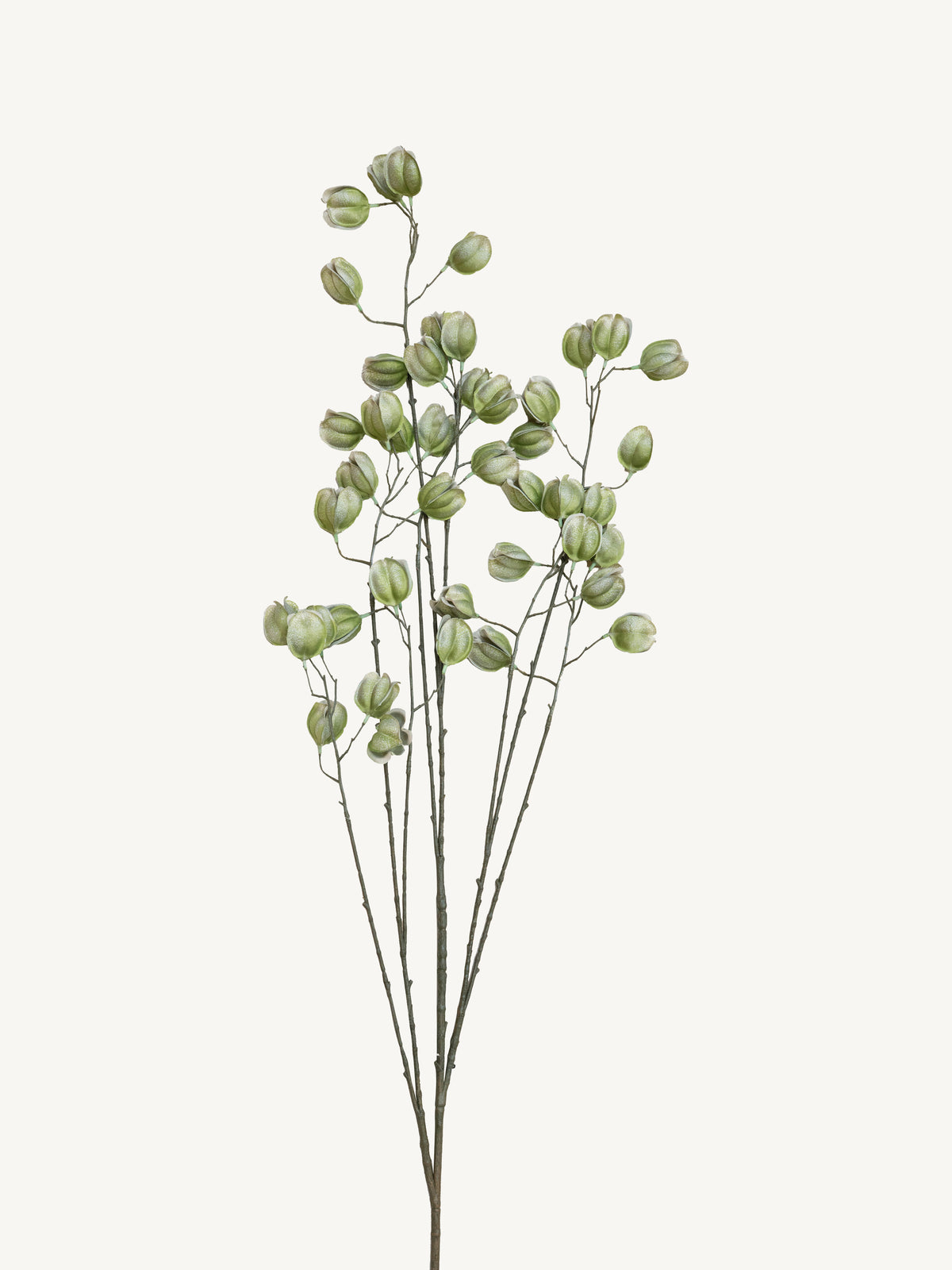 Branch KOELREUTERIA 140cm green