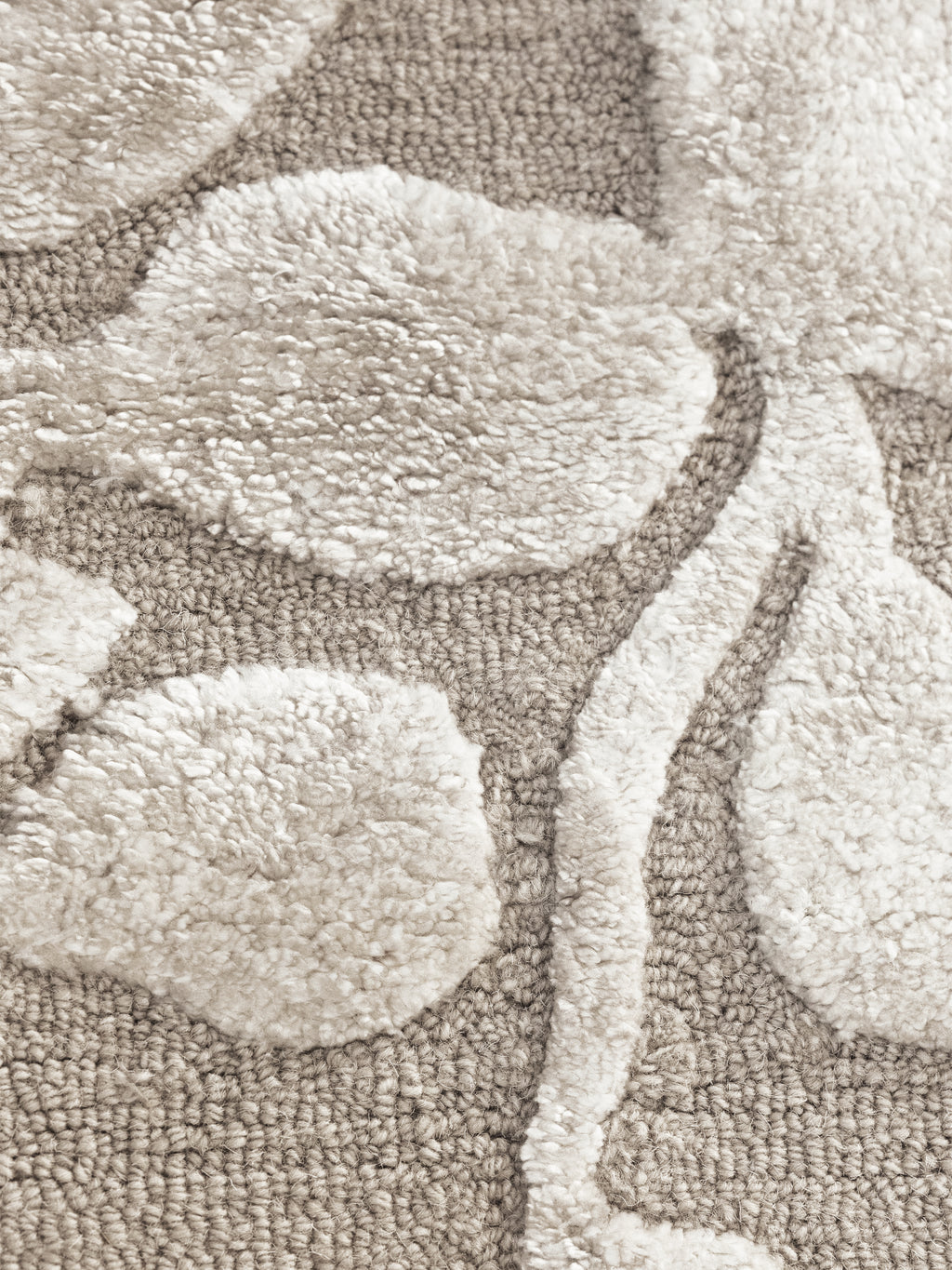 Rug AURELLE 300x400cm beige