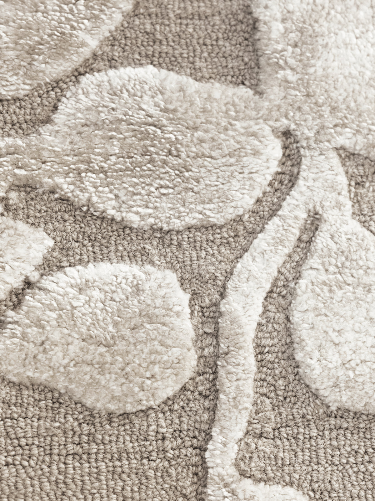 Rug AURELLE 300x400cm beige