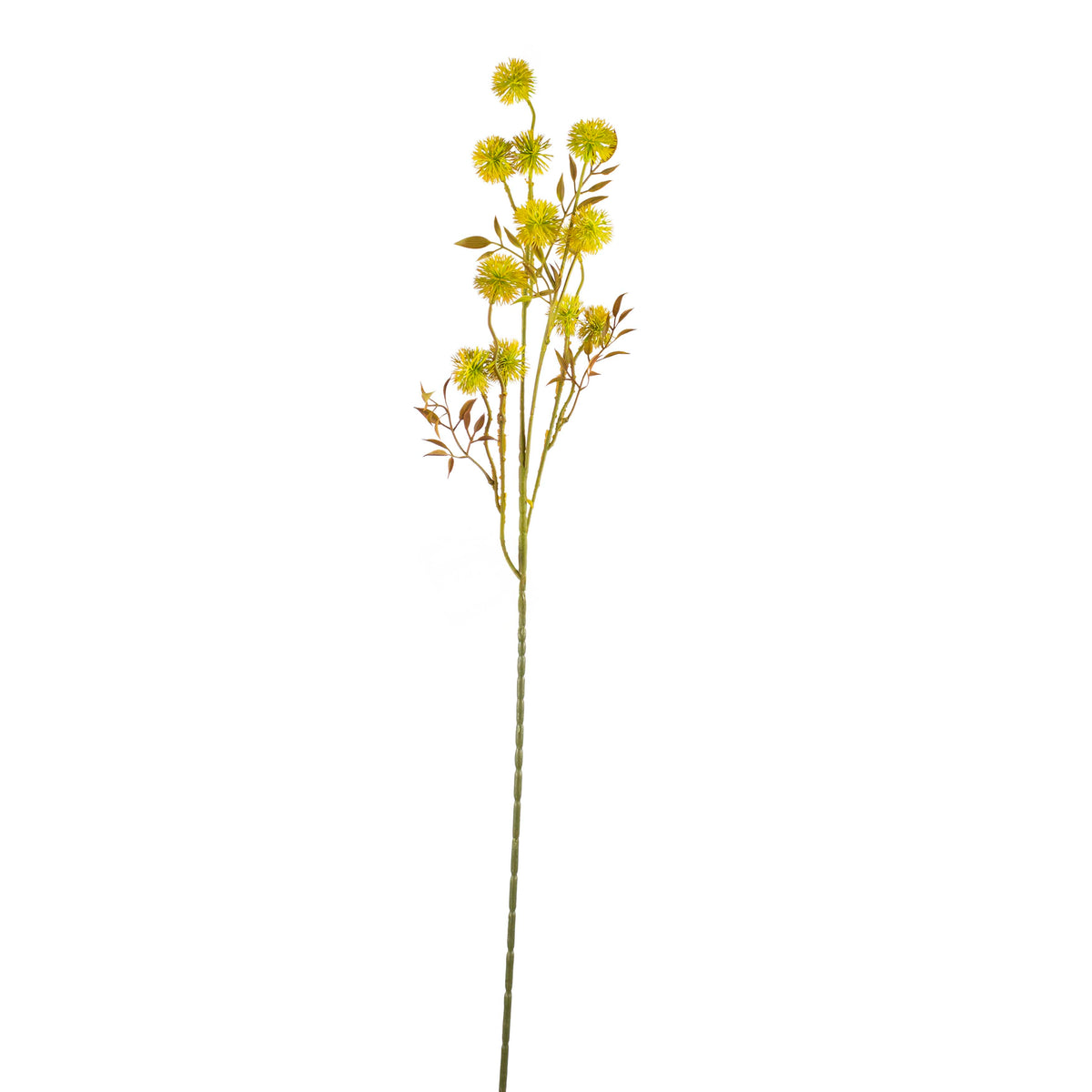 Flower little dandelion yellow 84cm