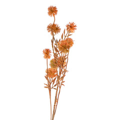 Flower little dandelion orange 84cm