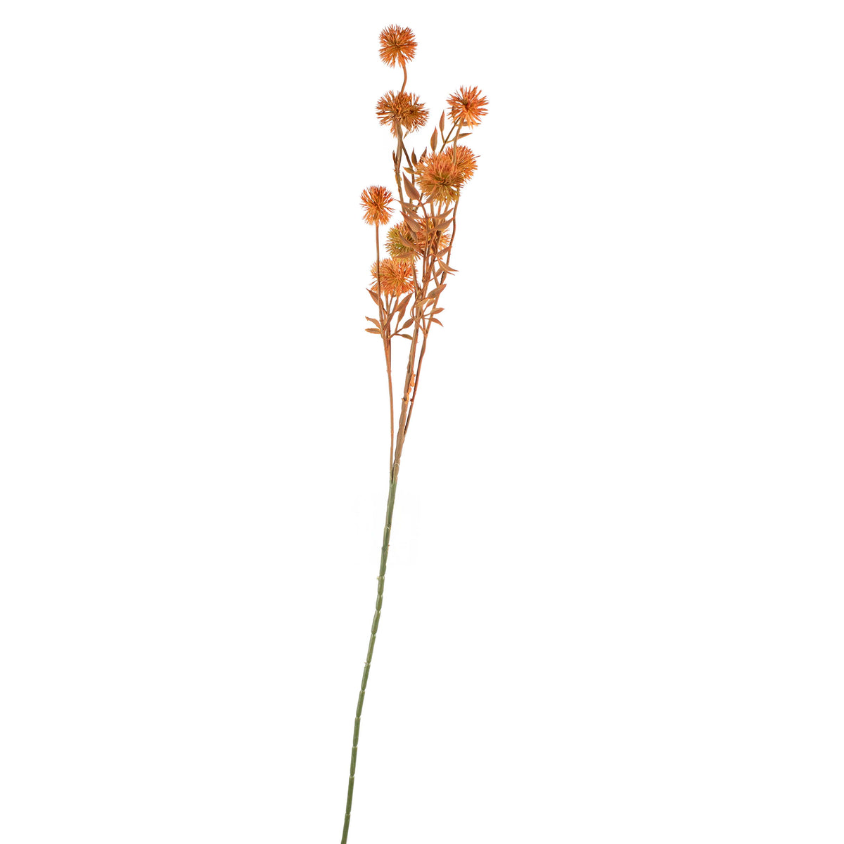 Flower little dandelion orange 84cm