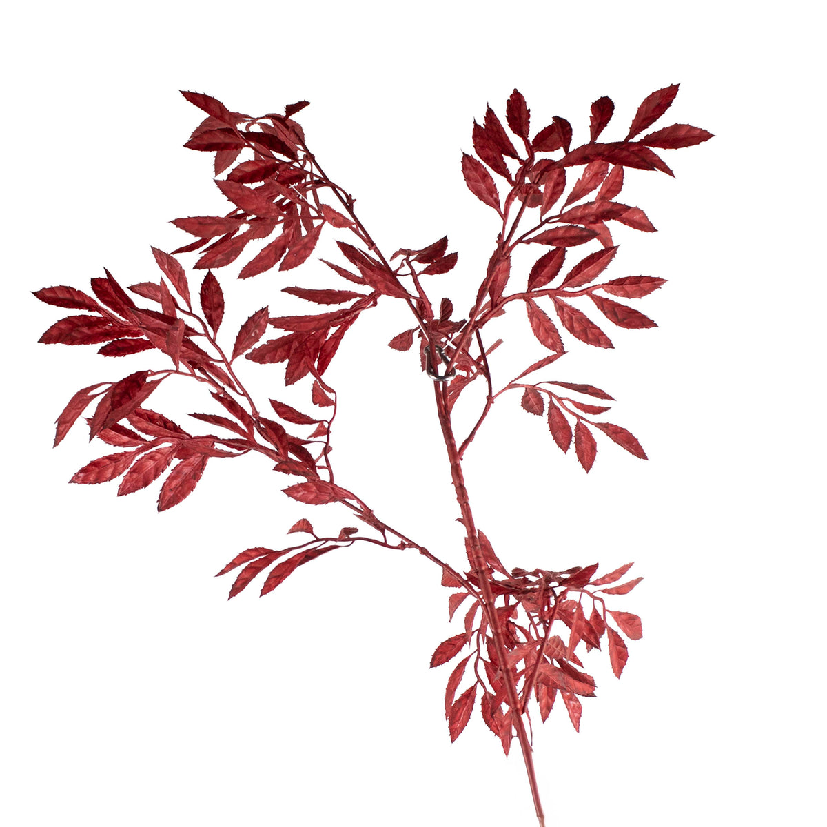 Bloem munt blad donkerrood 105cm