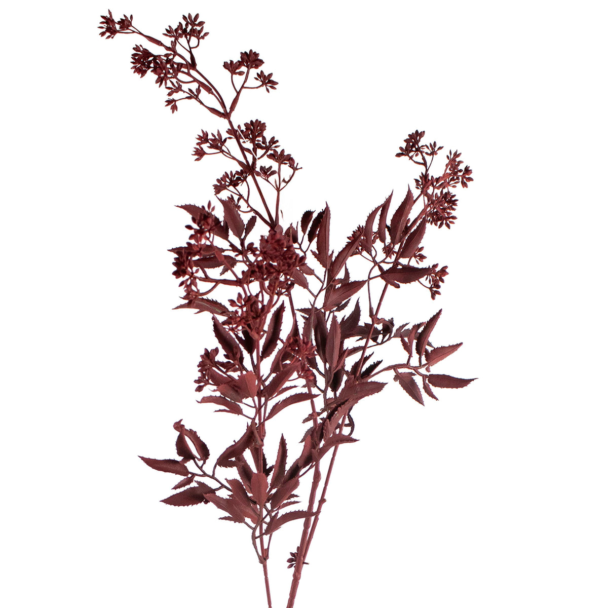 Bloem sendum blad donkerrood 88cm