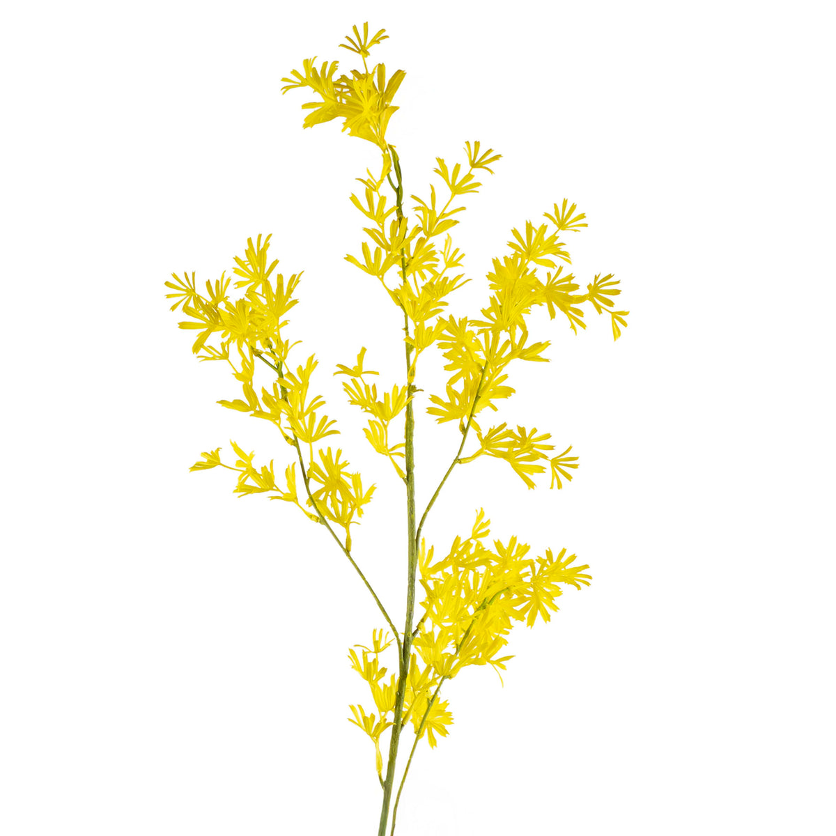 Flower wild chrysanthemum yellow 94cm