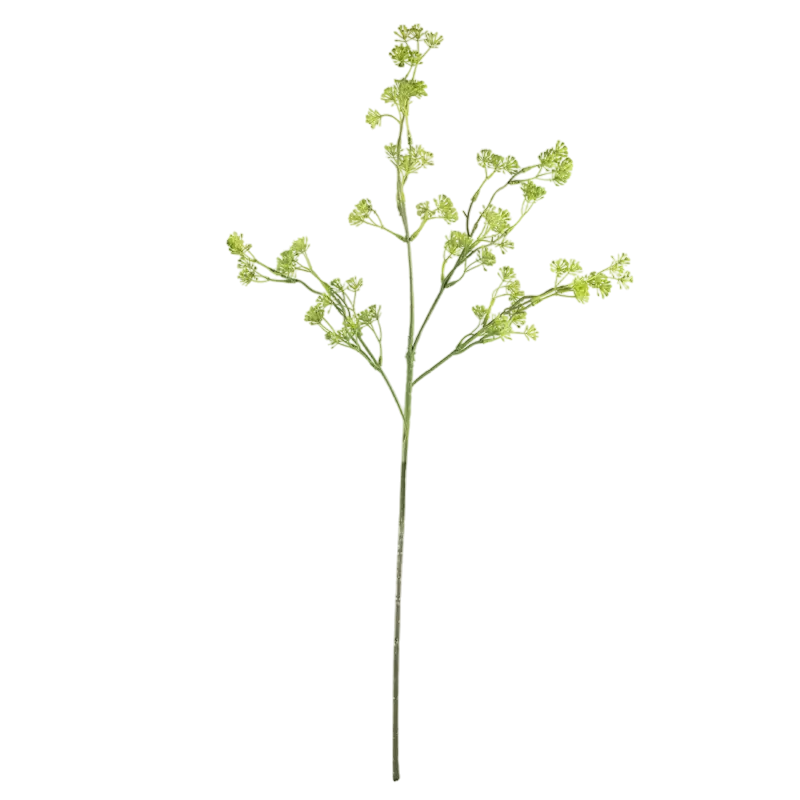Flower anethum graveolens green 88cm