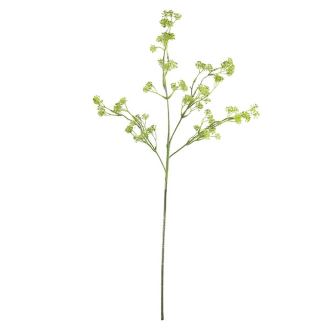 Flower anethum graveolens green 88cm