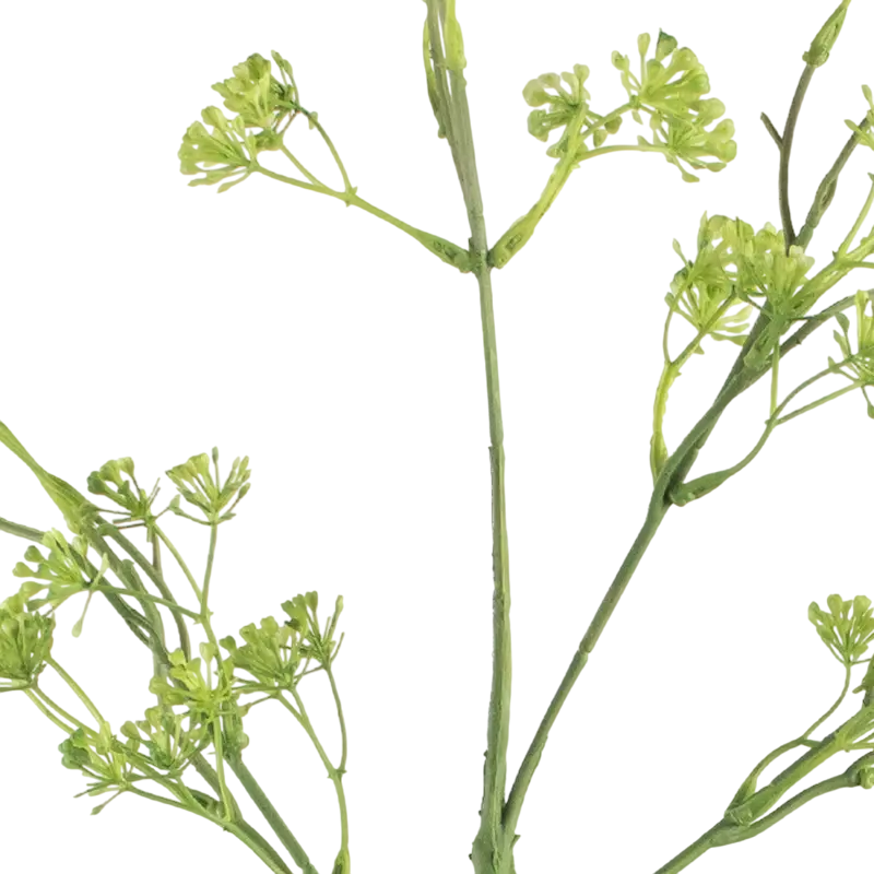 Flower anethum graveolens green 88cm