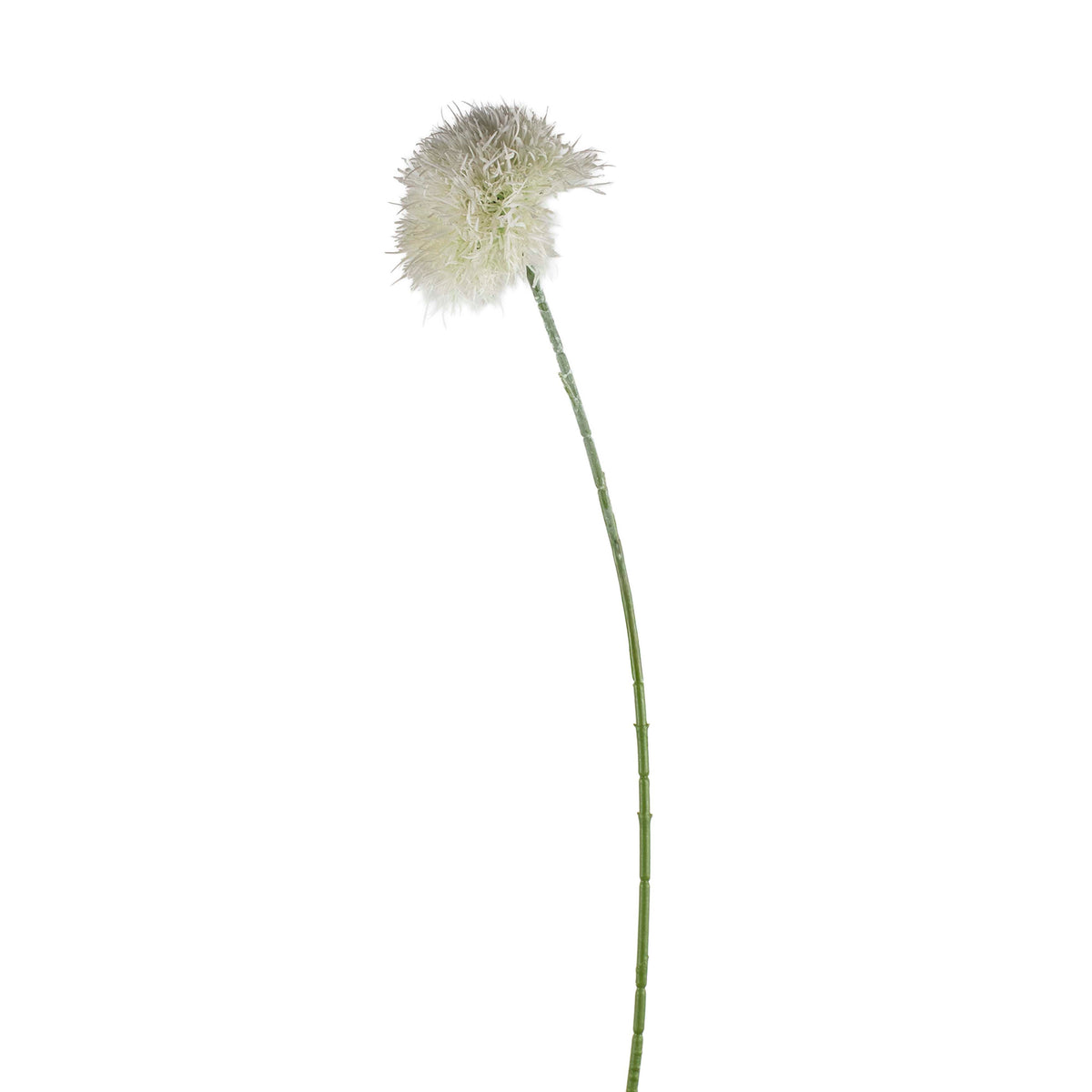Bloem paardenbloem wit 70cm