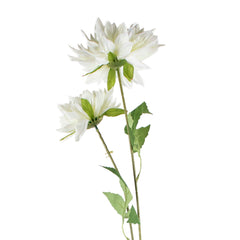 Blume Multidahlia weiß 80cm