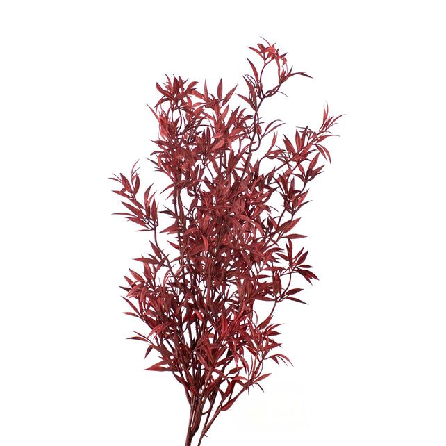 Blumenbambusblatt dunkelrot 56cm