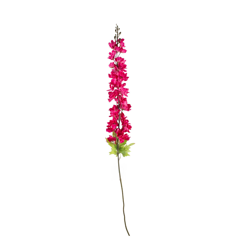 Blumig, groß, Rittersporn, Fuchsia, 120cm