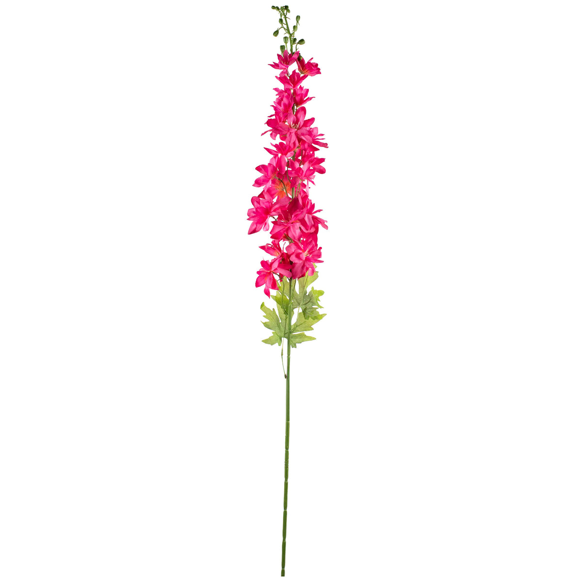Blume Rittersporn Fuchsia 107cm