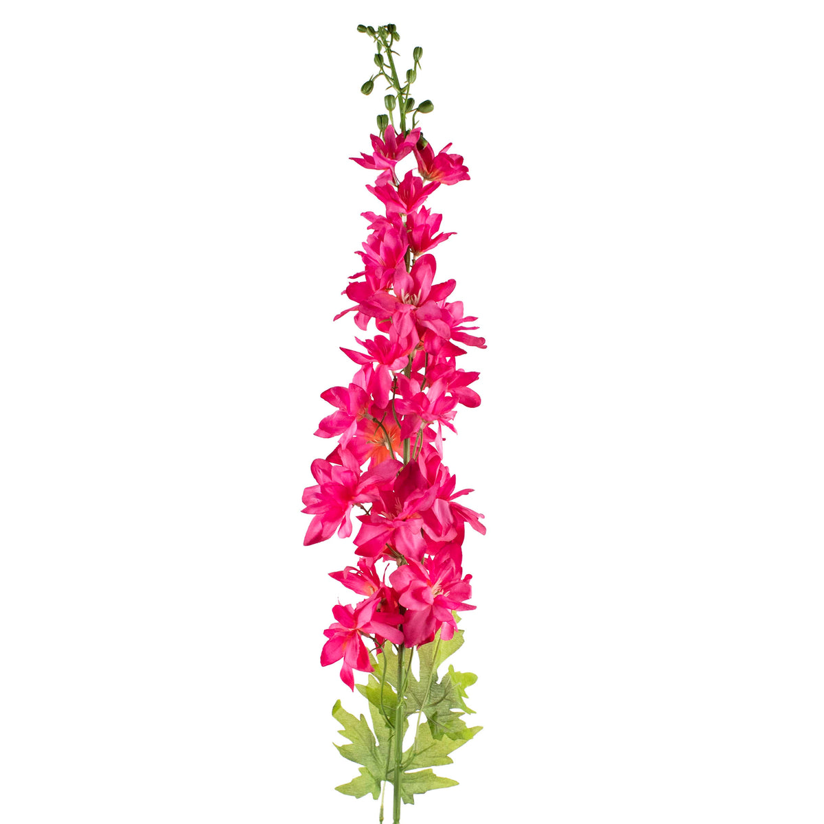 Bloem delphinium fuchsia 107cm