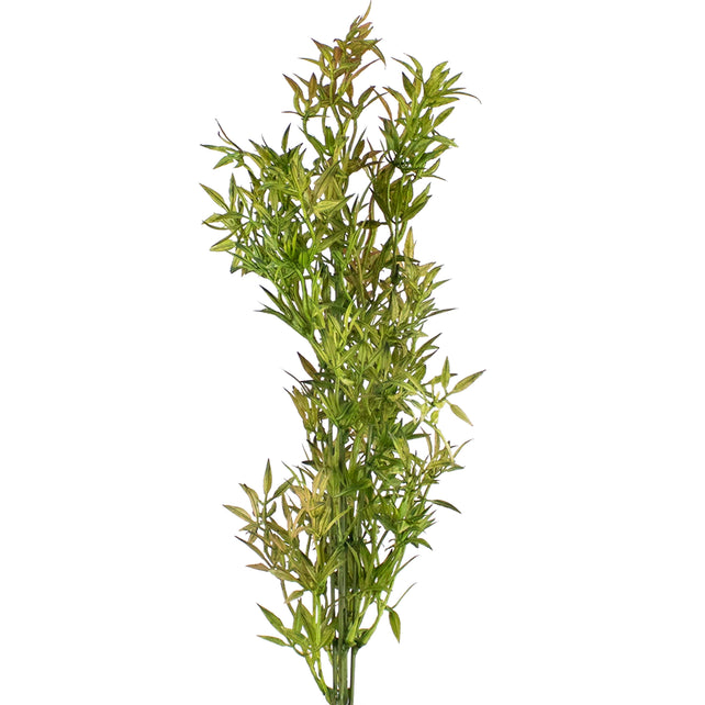 Flower bamboo leaf green 56cm