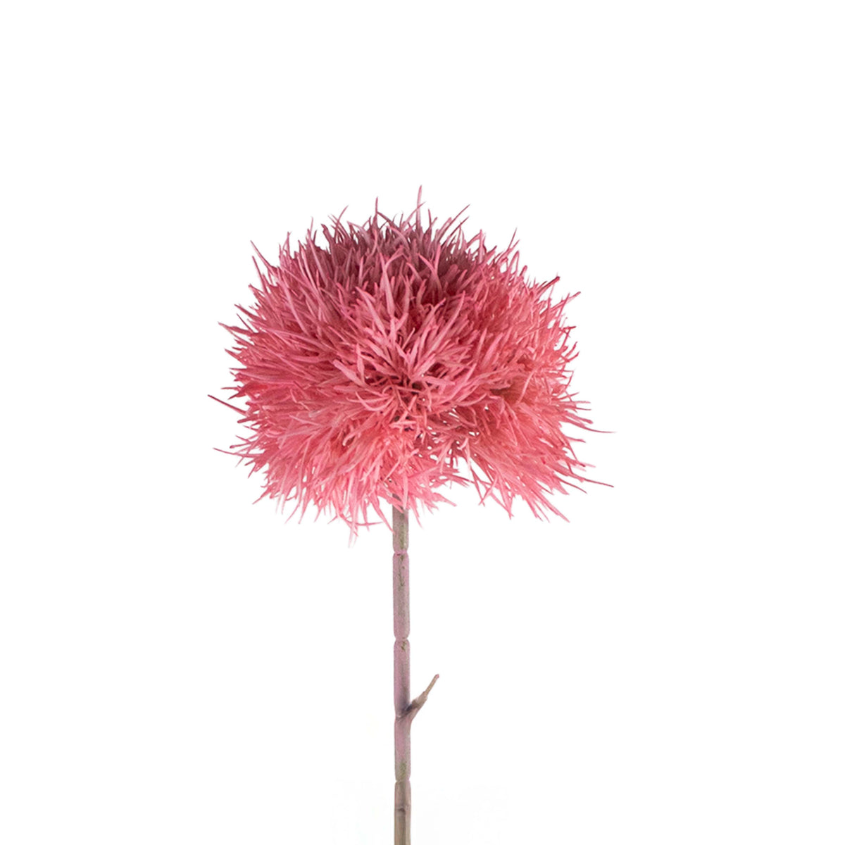 Flower dandelion pink 70cm