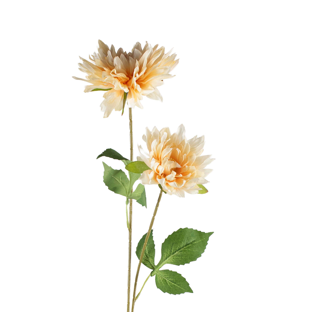Flower multi dahlia soft orange 80cm