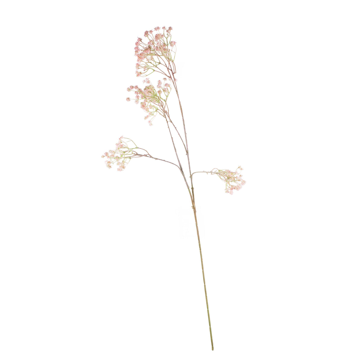 Flower pulcherrima soft pink 90cm